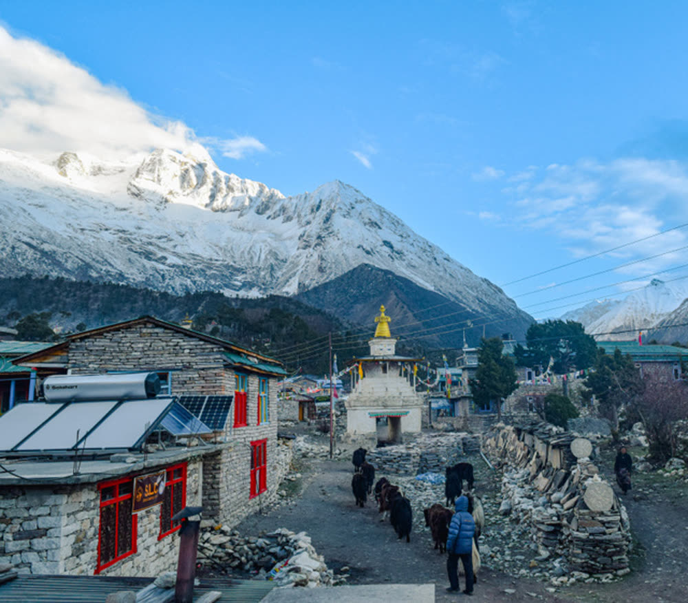 Snow-covered peaks rising behind a high Himalayan village in the early morning