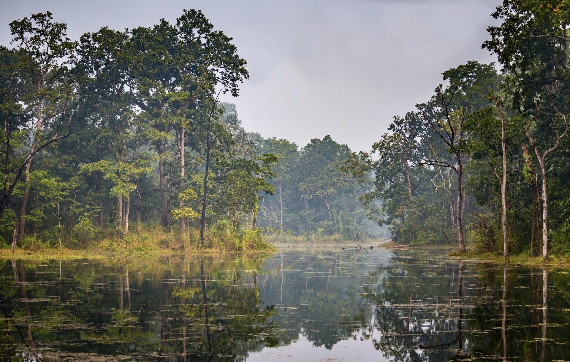 Misty jungle and river landscape of Chitwan National Park