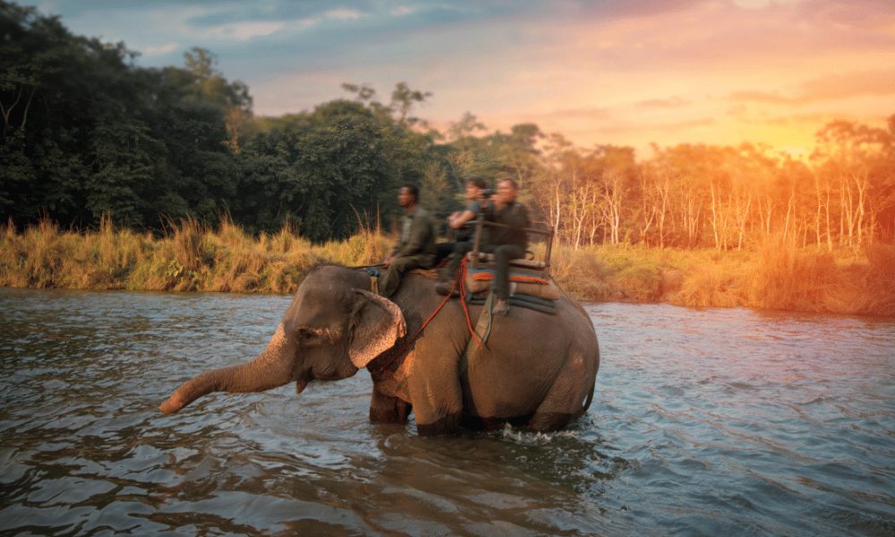Golden sunset over the Rapti River in Sauraha