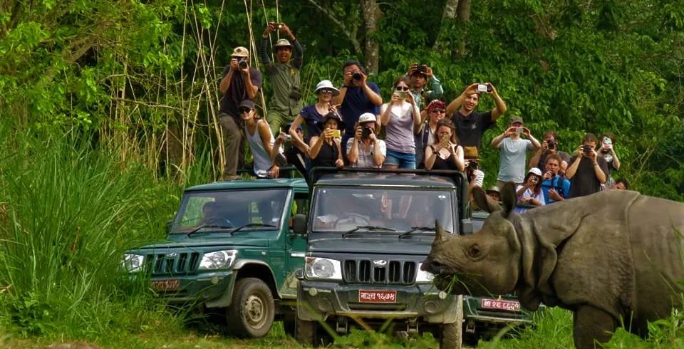 Jeep safari in Chitwan National Park