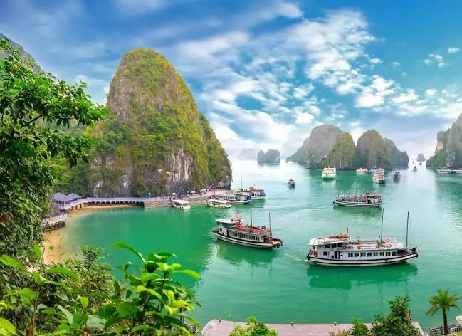 Cruise boats moored beside a forested limestone island in Ha Long Bay